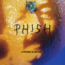 Phish to Release _A Picture of Nectar_ on Vinyl