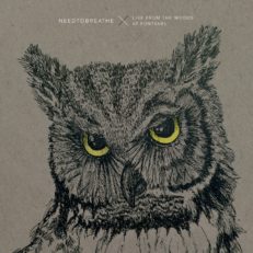 Album Premiere: NEEDTOBREATHE _Live from the Woods at Fontanel_