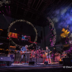 One More Saturday Night (and Sunday) (A Gallery)