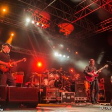 Widespread Panic Confirm Halloween and New Year’s Eve