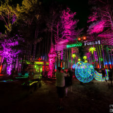 Electric Forest Festival (A Gallery)