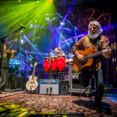 TourGigs to Webcast String Cheese Incident’s Electric Forest Shows