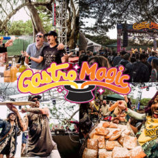 Big Boi, Members of Major Lazer, Ra Ra Riot, Electric Beethoven’s “Acid Test” to Play Outside Lands’ Gastro Magic