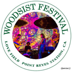 Woodsist Fest Moved to Point Reyes Due to Fires in Big Sur