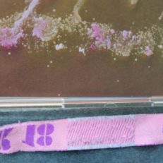 Study Concludes Festival Wristbands Contain Exceedingly High Amount of Bacteria