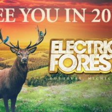 Report: Electric Forest Planning Two-Weekend Event in 2017