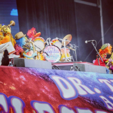 Watch The Muppets’ Dr. Teeth & The Electric Mayhem’s Incredible Outside Lands Set