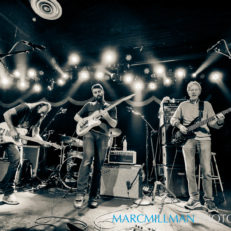 Phil Lesh and the Terrapin Family Band Announce Three Nights in Boulder