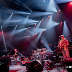 Today in 2012, Phish Fucked Your Face