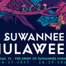 Mike Gordon, Lotus, Damian Marley and More Added to Suwannee Hulaween Lineup