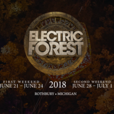 Electric Forest Sets 2018 Dates, Debuts Wish Machine
