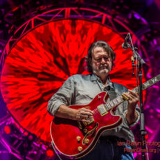 Widespread Panic Added to LOCKN’ Festival 2018 Lineup