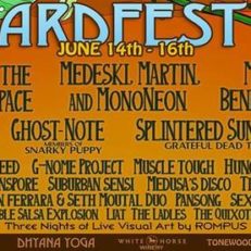 Medeski, Martin and MonoNeon, Marco Benevento and More to Play New Jersey’s Beardfest