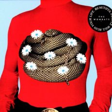 The Wombats: Beautiful People Will Ruin Your Life