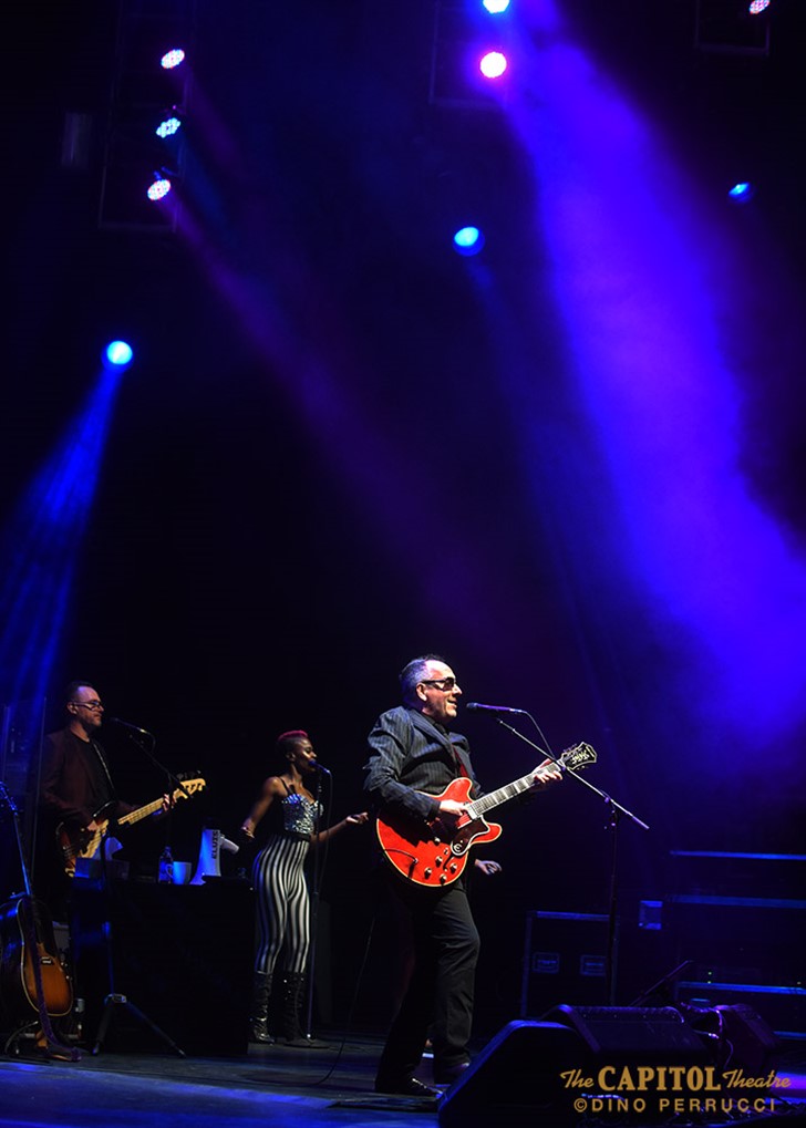 Elvis Costello at The Capitol Theatre (A Gallery)