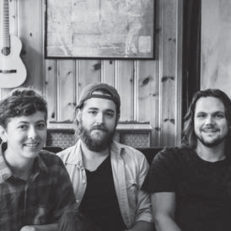 On The Verge: Birdtalker