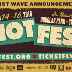 Riot Fest Schedules First Wave of Artists: Blink 182, Beck, Elvis Costello and Others