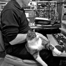 New Music From Widespread Panic