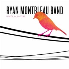 Ryan Montbleau Band : Heavy on the Vine