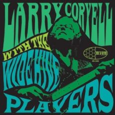 Larry Coryell: With the Wide Hive Players