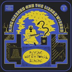 King Gizzard & The Lizard Wizard: Flying Microtonal Banana