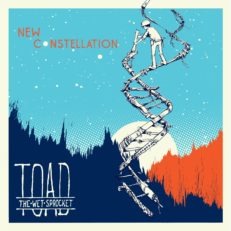 Toad The Wet Sprocket’s _New Constellation_