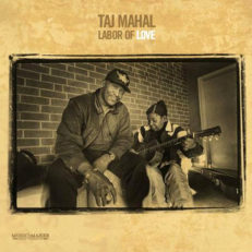Taj Mahal: Labor of Love