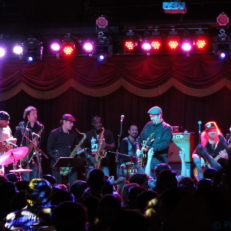 A Look at Lettuce and Friends