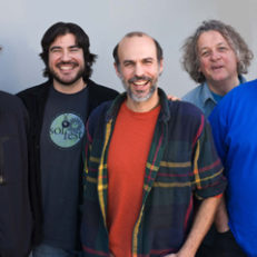 Spotlight: The Contribution