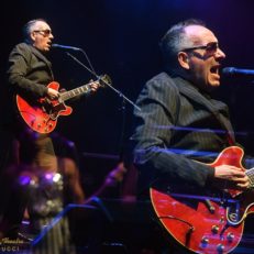 Elvis Costello & The Imposters Announce New Album