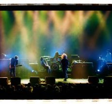 MMJ to Play Live Webcast