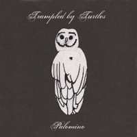 Trampled By Turtles : Palomino