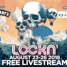 Watch Free LOCKN’ Webcast Here
