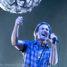 Pearl Jam at Wrigley Field (A Gallery)