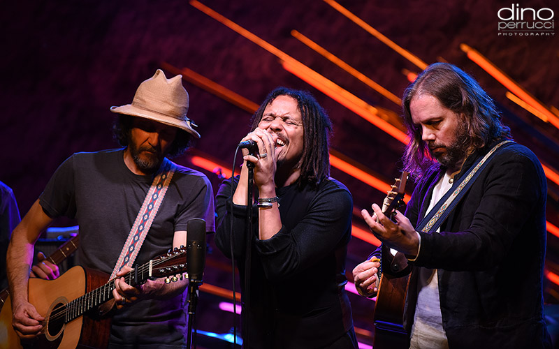 The Magpie Salute in NYC (A Gallery)