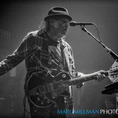 Neil Young Cancels All 2026 Tour Dates