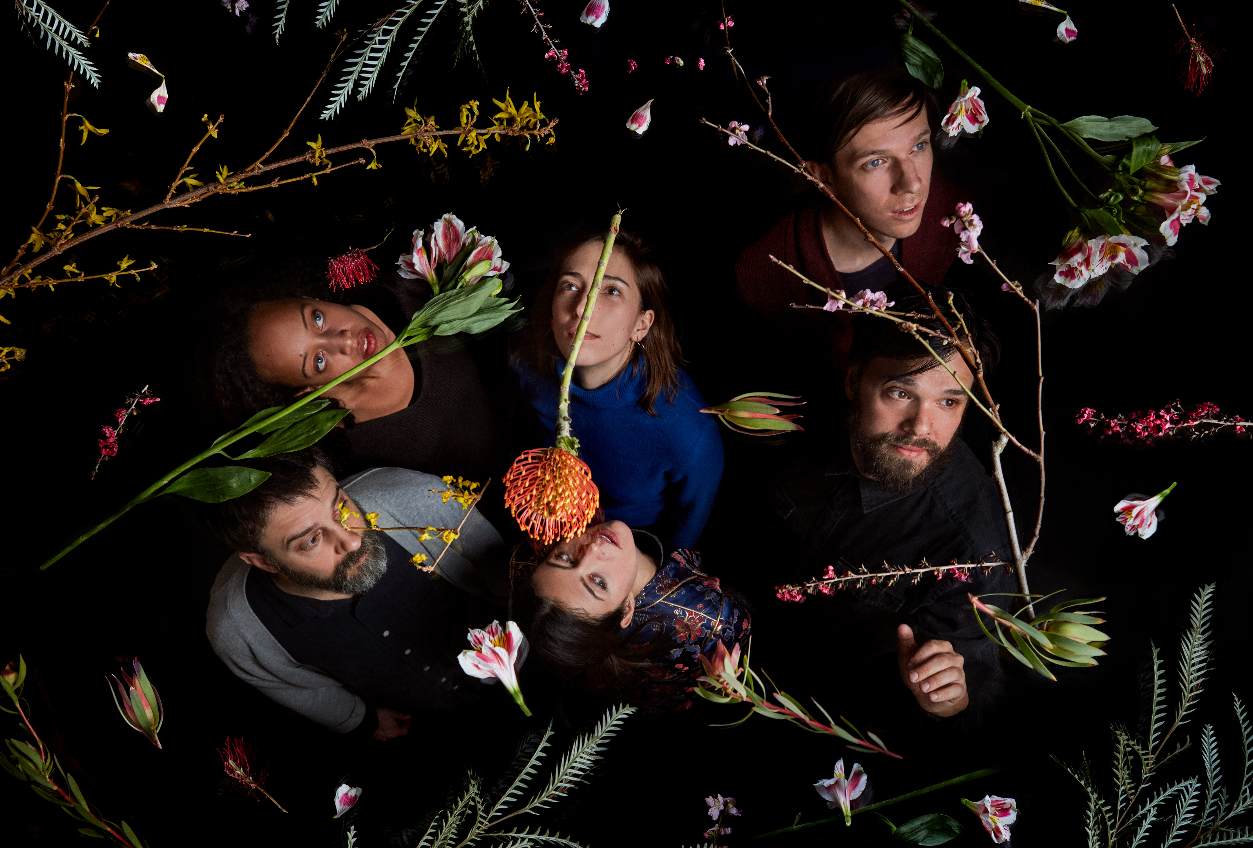 Dirty Projectors: Painting Without Parameters