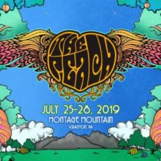 The Peach Music Festival Announces Free 2019 Webcast