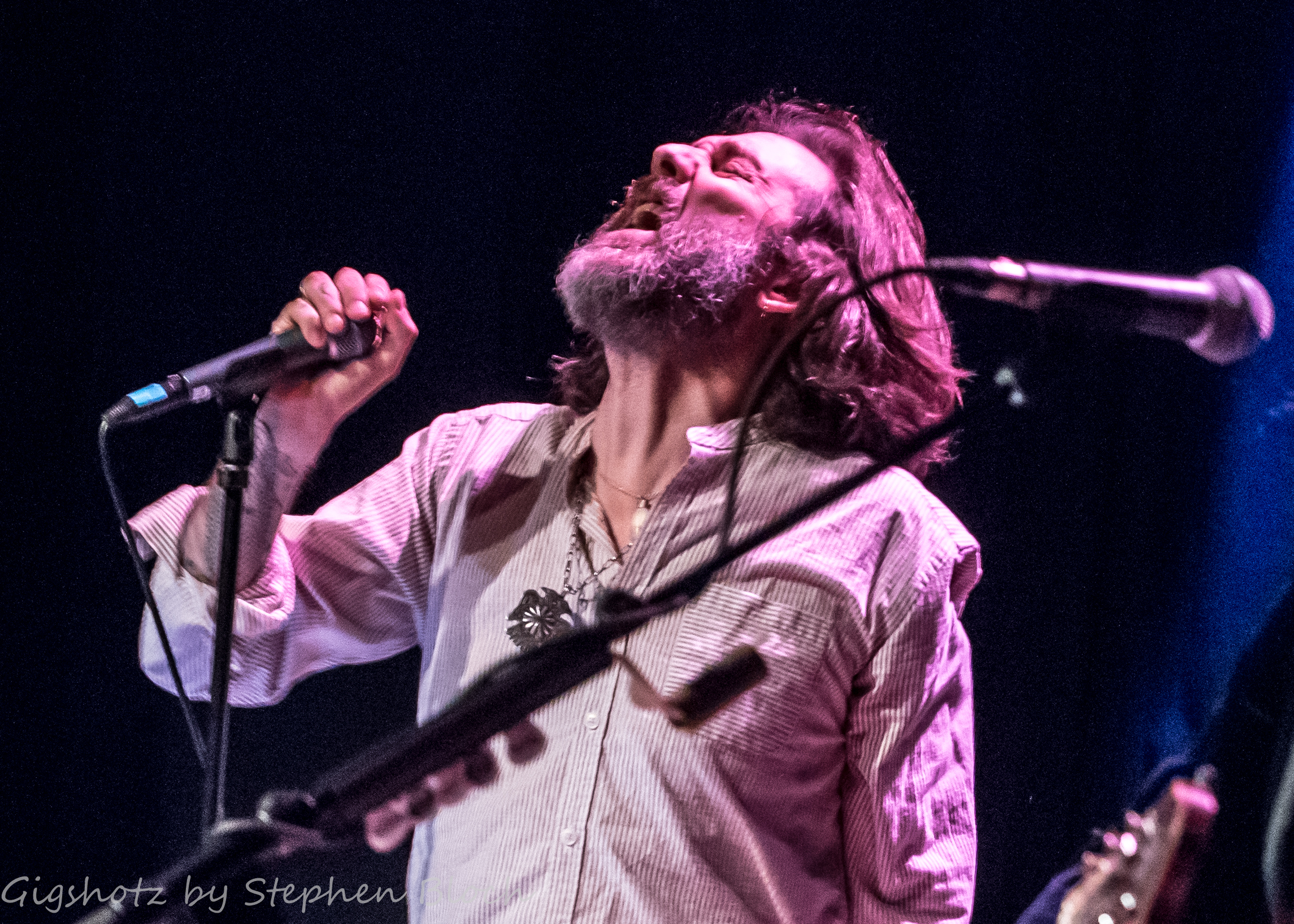 Chris and Rich Robinson Perform as “Brothers of a Feather” in Chicago Chris and Rich Robinson Perform as “Brothers of a Feather” in Chicago
