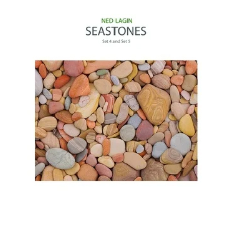 Ned Lagin: Seastones Set 4 and Set 5