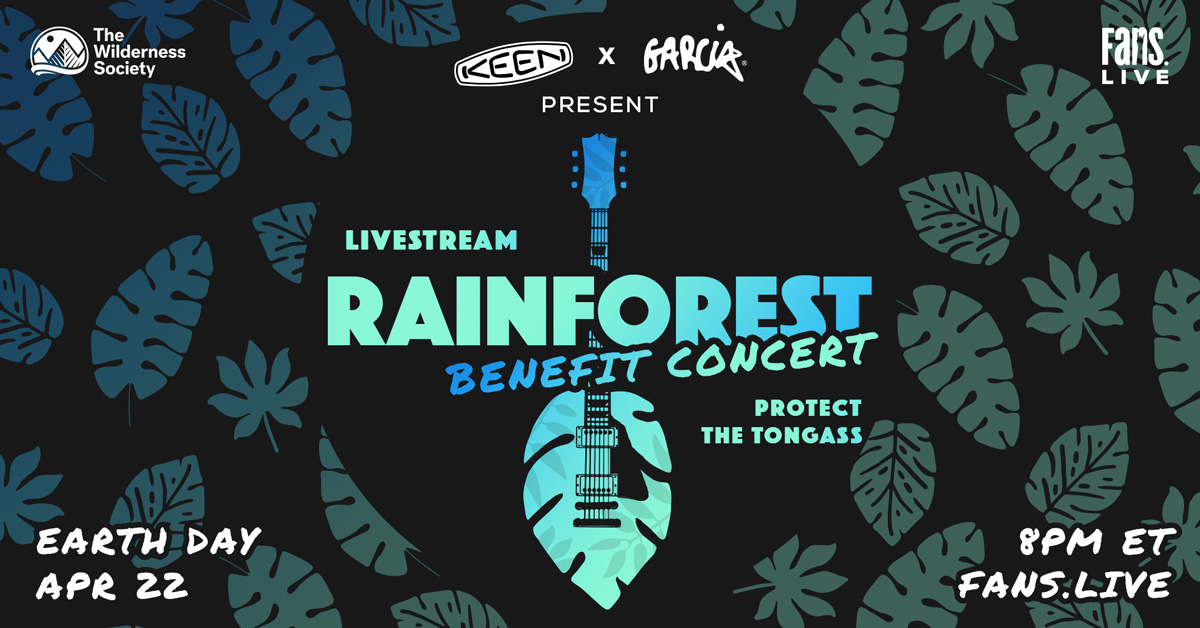Benevento/Russo Duo, JoJo Hermann, Jack Casady, Trixie Garcia, Dave Matthews and More Will Assemble for Rainforest Benefit Concert on FANS