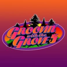 Groovin’ with the Grove Shares 2022 Artist Lineup: Cabinet, Jason Leech, Dogs In A Pile and More