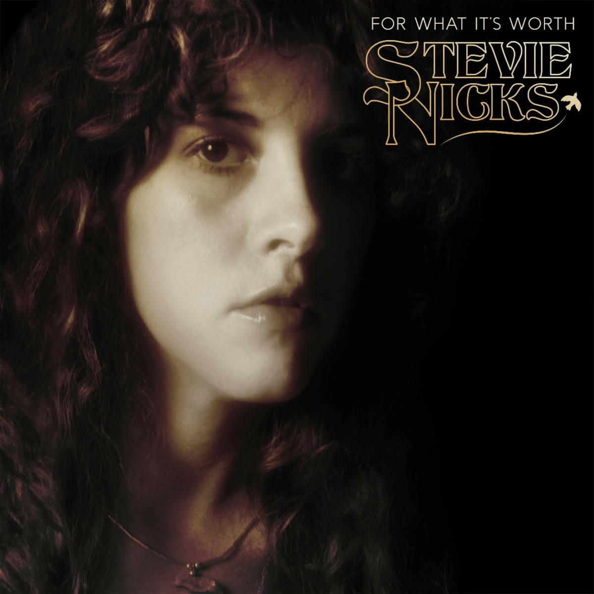 Stevie Nicks Releases Cover of Buffalo Springfield’s “For What It’s Worth”