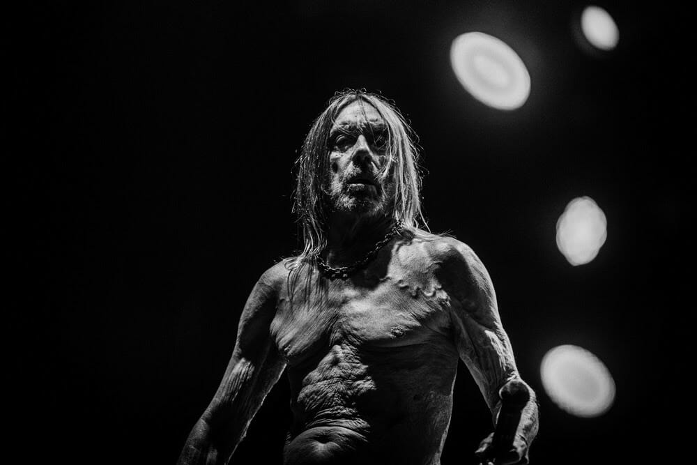 Iggy Pop Announces New LP ‘Every Loser,’ Shares New Song “Frenzy”