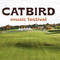 Catbird Music Festival Details Inaugural Lineup Set for Historic Woodstock Grounds