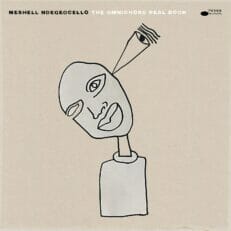 Meshell Ndegeocello: The Omnichord