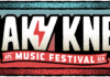 Shaky Knees Details 2024 Lineup: Foo Fighters, Noah Kahan, Weezer and More