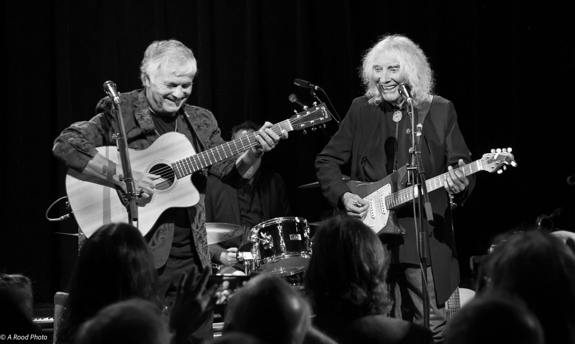 The Benefit Concert For Denny Laine (A Gallery)