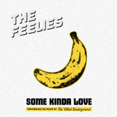 The Feelies: Some Kinda Love: Performing the Music of the Velvet Underground