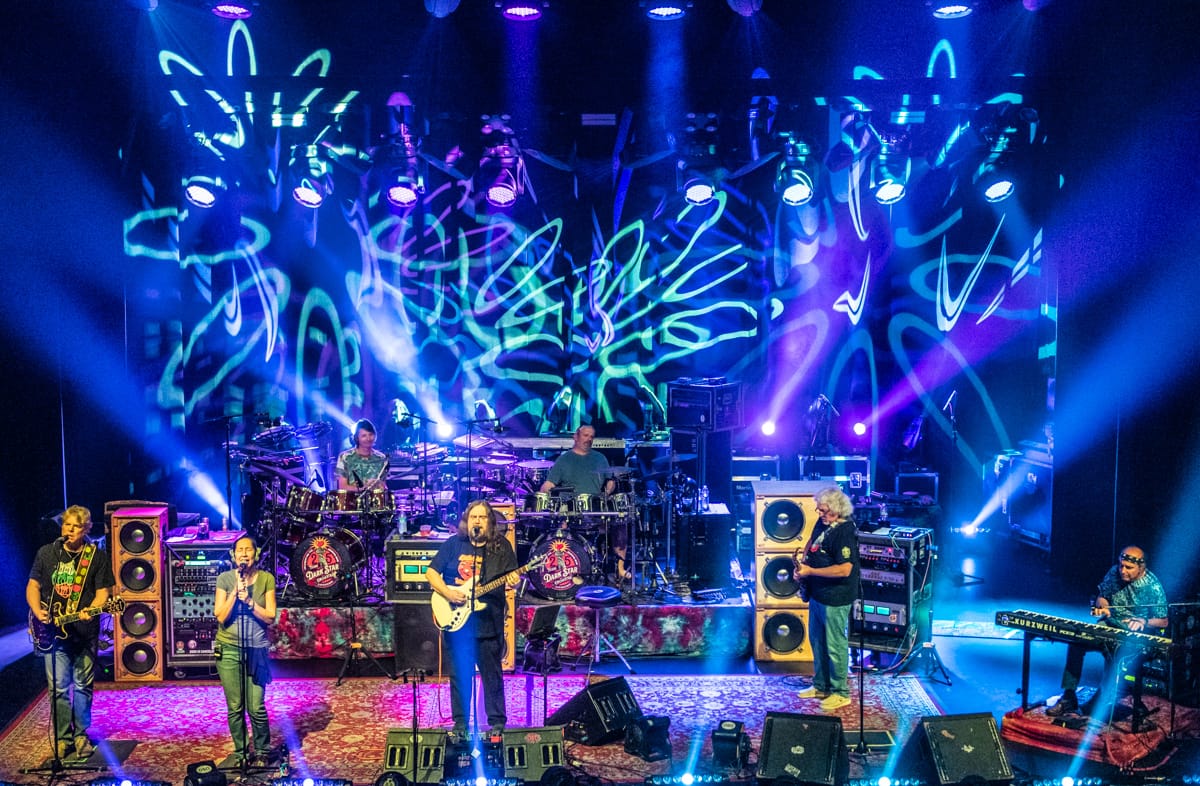 Dark Star Orchestra: Deadhead Adventure Travel